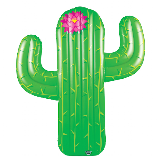 Badmadrass Kaktus 2