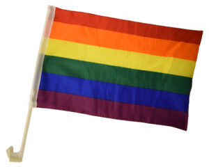 Bilflagga Pride 2-pack 1