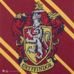 Harry Potter Slips med Broderat Gryffindor-emblem Vuxen 5