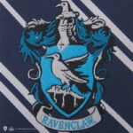 Harry Potter Slips med Broderat Ravenclaw-Emblem Vuxen 5