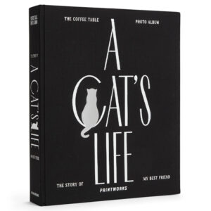 Katt Album - A Cat's Life 1