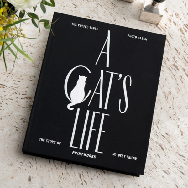Katt Album - A Cat's Life 2