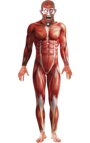 Mänsklig anatomi-dräkt 1