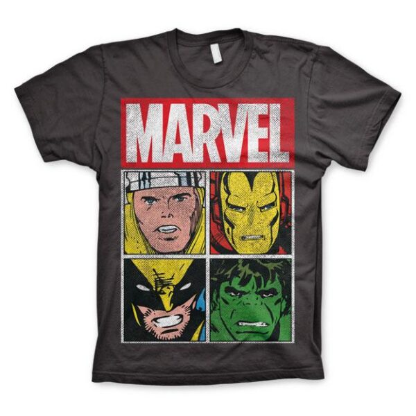 Marvel Distressed Characters T-Shirt Mörkgrå 1
