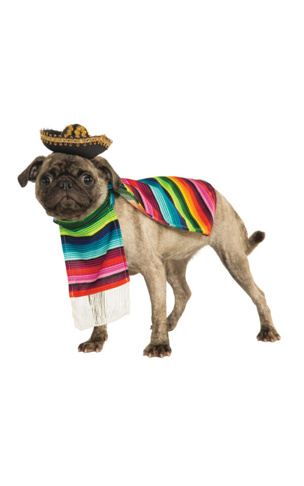 Mexikansk Hunddräkt 1