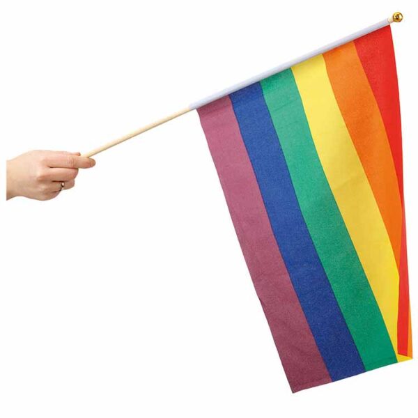 Prideflagga 30x40cm 1