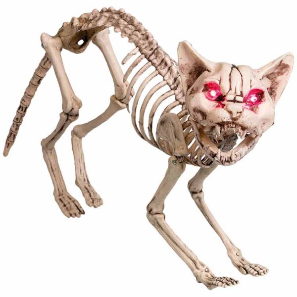 Skrikande Katt Skelett 1