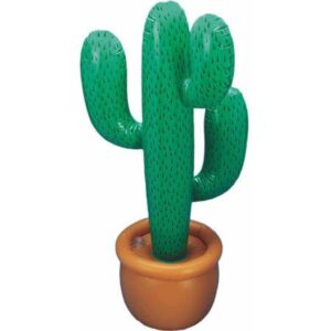 Uppblåsbar kaktus 1